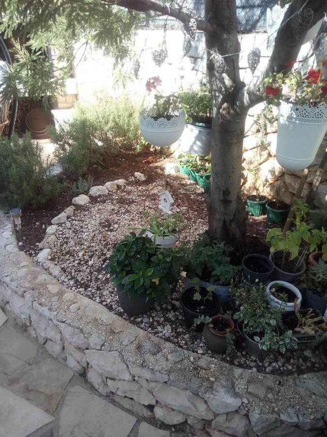 Villa Ana Zivogosce-Apartment4 מראה חיצוני תמונה